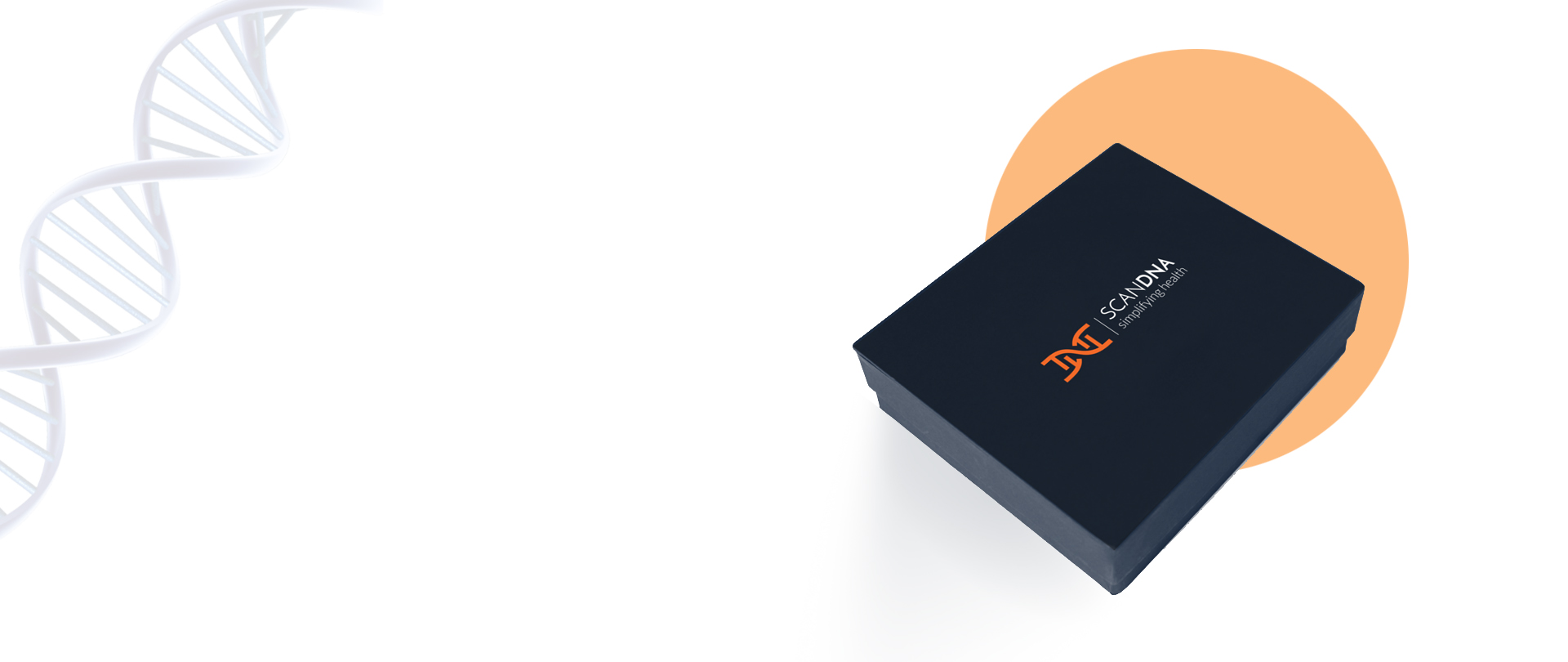 Vigo Slider Image
